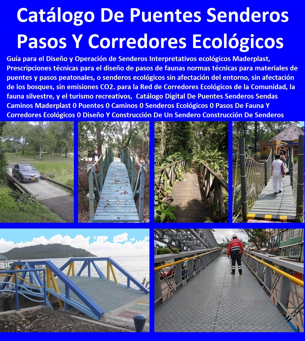 23 PUENTES 0 CAMINOS 0 SENDEROS ECOLÓGICOS 0 PUENTES PEATONALES 0 VIADUCTOS ECOLÓGICOS 0 PASO PEATONAL ELEVADO 0 Puentes Veredales 0 Senderos Y Malecones 0 Senderismo Ecológico 0 Pasos Peatonales 0 Malecones Arquitectura 0 Paseos Peatonales